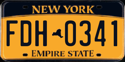 NY license plate FDH0341