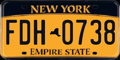 NY license plate FDH0738