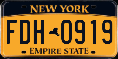 NY license plate FDH0919