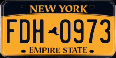 NY license plate FDH0973