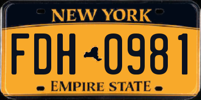 NY license plate FDH0981
