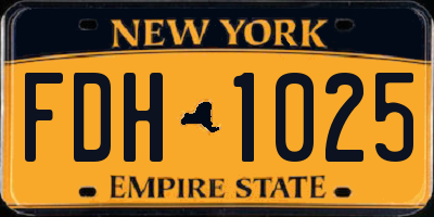 NY license plate FDH1025