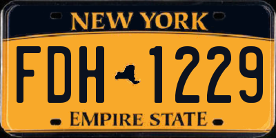 NY license plate FDH1229