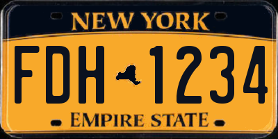 NY license plate FDH1234
