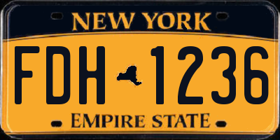 NY license plate FDH1236