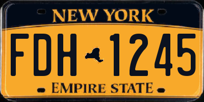 NY license plate FDH1245