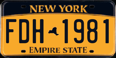 NY license plate FDH1981