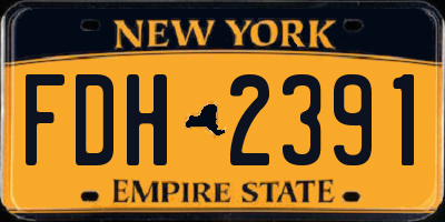 NY license plate FDH2391