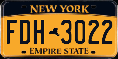 NY license plate FDH3022