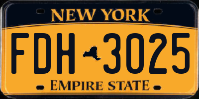 NY license plate FDH3025