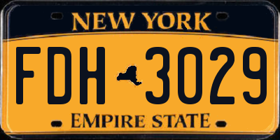 NY license plate FDH3029