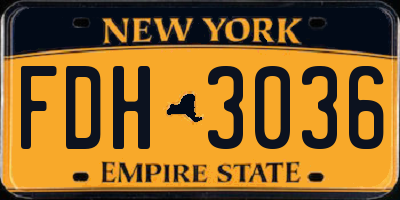 NY license plate FDH3036