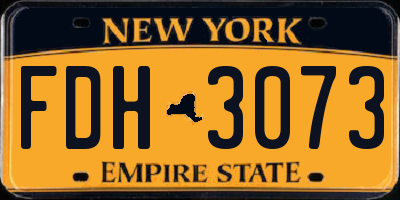 NY license plate FDH3073