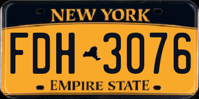 NY license plate FDH3076