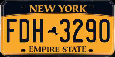 NY license plate FDH3290