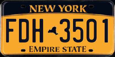 NY license plate FDH3501