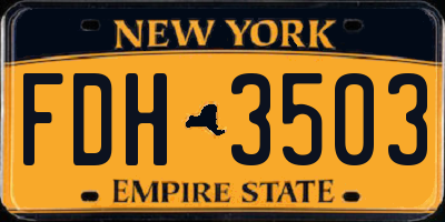 NY license plate FDH3503