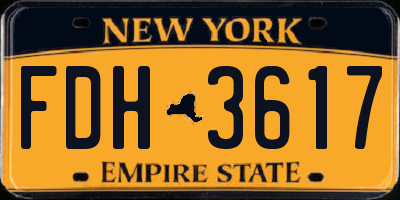 NY license plate FDH3617