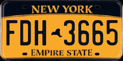 NY license plate FDH3665