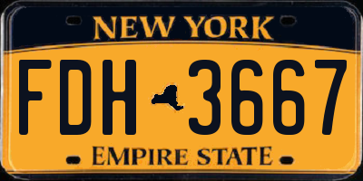 NY license plate FDH3667