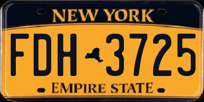 NY license plate FDH3725