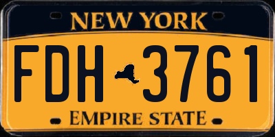 NY license plate FDH3761