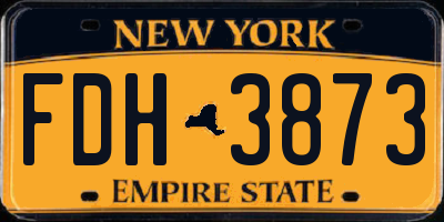 NY license plate FDH3873