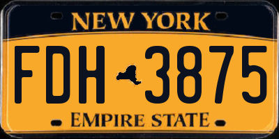 NY license plate FDH3875