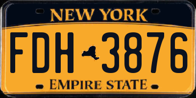NY license plate FDH3876