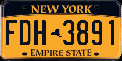 NY license plate FDH3891