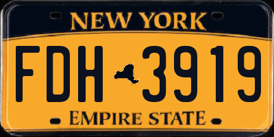 NY license plate FDH3919