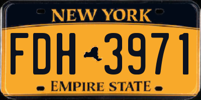 NY license plate FDH3971