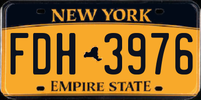 NY license plate FDH3976