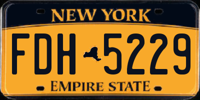 NY license plate FDH5229