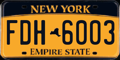 NY license plate FDH6003