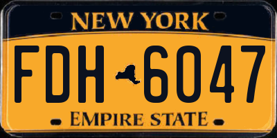 NY license plate FDH6047