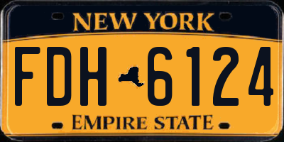 NY license plate FDH6124