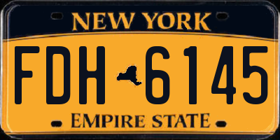 NY license plate FDH6145
