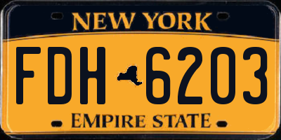 NY license plate FDH6203