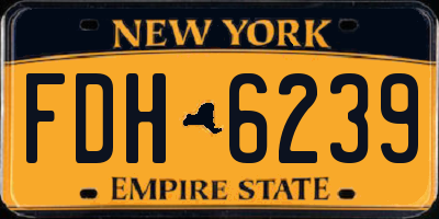 NY license plate FDH6239