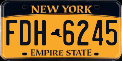NY license plate FDH6245