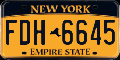 NY license plate FDH6645