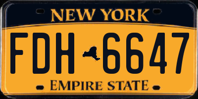 NY license plate FDH6647