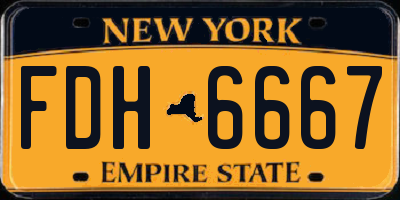 NY license plate FDH6667