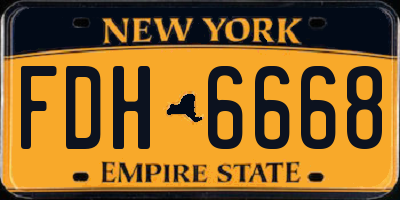 NY license plate FDH6668