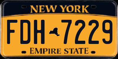 NY license plate FDH7229