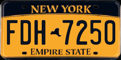 NY license plate FDH7250