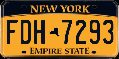 NY license plate FDH7293