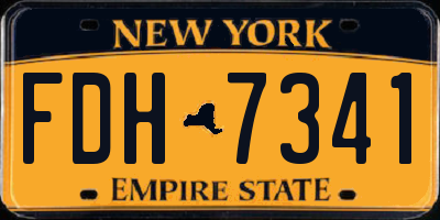 NY license plate FDH7341