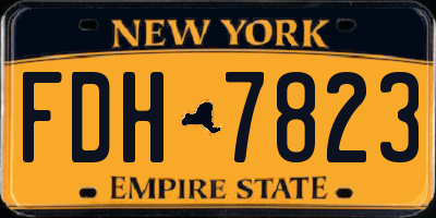 NY license plate FDH7823